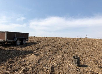 Ореховый сад в Киевской области